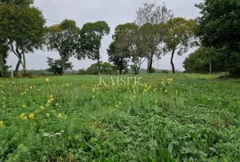 Istra - okolica Barbana zemljište s građevinskom dozvolom i projektom luksuzne istarske vile, Barban, Land