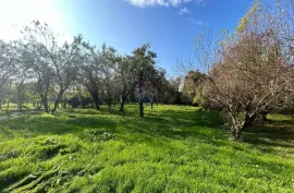 Velika Gorica, Obrezina  kuća 140 m2 sa zemljištem 3500 m2, Velika Gorica - Okolica, Haus