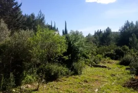 Prodaje se veliko zemljište, Korčula, Terrain