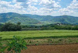 Istra, okolica Motovuna, Vrh, građevinsko zemljište, Motovun, Земля