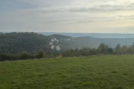 Zemljište s projektom za izgradnju 1- 3 luksuzne vile s bazenom i  pogledom na Motovun, Oprtalj, Land