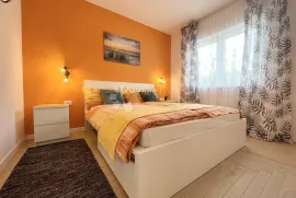 NOVIGRAD, VILA SA BAZENOM, Novigrad, Haus