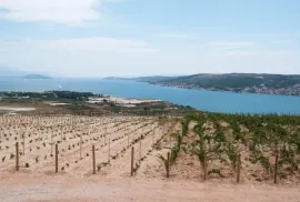 Mladi vinograd, za prodaju, Trogir - Okolica, Arazi