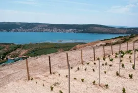 Mladi vinograd, za prodaju, Trogir - Okolica, Arazi