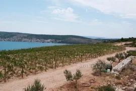 Mladi vinograd, za prodaju, Trogir - Okolica, Arazi