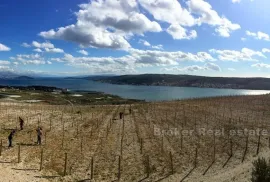 Mladi vinograd, za prodaju, Trogir - Okolica, Arazi