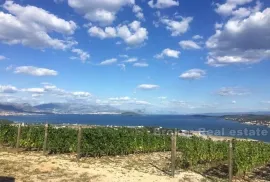 Mladi vinograd, za prodaju, Trogir - Okolica, أرض