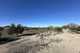 Prostrano imanje sa više stambenih jedinica i maslinikom, Zadar, بيت