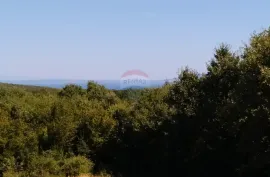 Istra,Valtura,kuća sa dva stana, Ližnjan, Famiglia