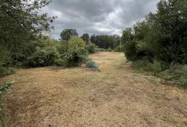 Istra, Žminj, okolica - građevinsko zemljište u manjem naselju, Žminj, Land