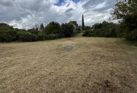 Istra, Žminj, okolica - građevinsko zemljište u manjem naselju, Žminj, Land