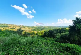 Istra,Momjan-Kompleks ruševina za adaptaciju, Buje, House