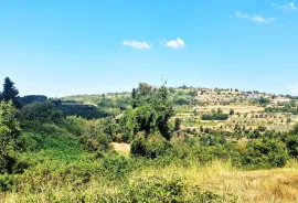 Istra,Momjan-Građevinsko zemljište s ruševinom, Buje, Land