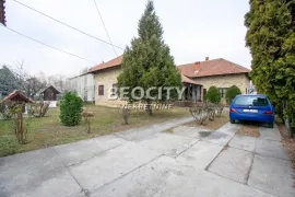 Novi Beograd, Ledine, , 6.0, 350m2, Novi Beograd, House