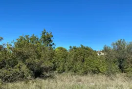 GRAĐEVINSKO ZEMLJIŠTE, MIRNA I TIHA POZICIJA, DRAGE - PAKOŠTANE, Pakoštane, Terra