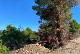 GRAĐEVINSKO ZEMLJIŠTE, MIRNA I TIHA POZICIJA, DRAGE - PAKOŠTANE, Pakoštane, Terra