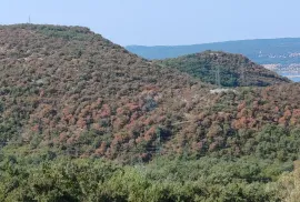 Crikvenica, Mavrići, šarmantna starina, 158 m2, Vinodolska Općina, Kuća