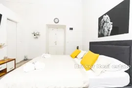 Četiri apartmana s poslovnim prostorom, u centru, Dubrovnik, Daire