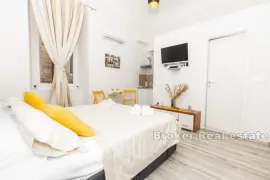 Četiri apartmana s poslovnim prostorom, u centru, Dubrovnik, Stan