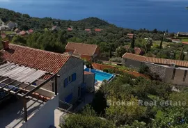 Kamena vila s bazenom i očaravajućim pogledom na more, Dubrovnik, Σπίτι