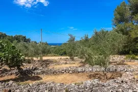 Građevinsko zemljište s pogledom na more , na prodaju, Korčula, Terrain