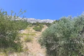 Građevinsko zemljište s panoramskim pogledom na more, Omiš, Terra