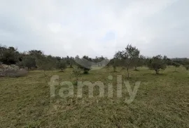 PROSTRANI I UREDAN MASLINIK NA MIRNOJ LOKACIJI, Fažana, Land