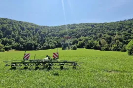 Gorski kotar - Blaževci - kuća blizu kupe, Vrbovsko, Ev