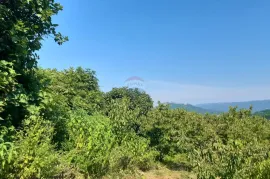 Istra, Motovun kuća s dvorištem, Motovun, House