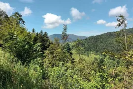 Gorski kotar, Fužine - Šumsko zemljište s prekrasnim pogledom i pristupnim putom, 5399 m2, Fužine, Земля