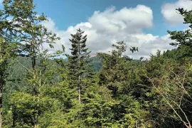 Gorski kotar, Fužine - Šumsko zemljište s prekrasnim pogledom i pristupnim putom, 5399 m2, Fužine, Земля