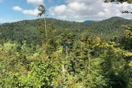 Gorski kotar, Fužine - Šumsko zemljište s prekrasnim pogledom i pristupnim putom, 5399 m2, Fužine, Земля