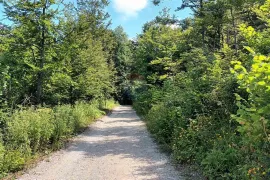 Gorski kotar, Fužine - Šumsko zemljište s prekrasnim pogledom i pristupnim putom, 5399 m2, Fužine, Земля