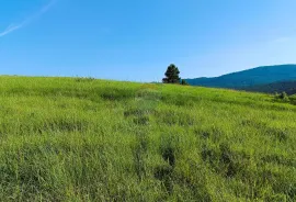 Ogulin , Modruš - Građevinsko - poljoprivredni teren sa ruševinom, Josipdol, Land