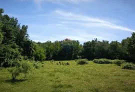 Poljoprivredno zemljište pogodno za ranč konja, Kaštelir-Labinci, أرض