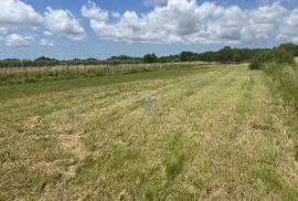 Istra, Marčana - građevinsko zemljište, Ližnjan, Terrain