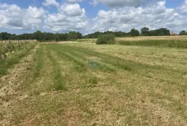 Istra, Marčana - građevinsko zemljište, Ližnjan, Land