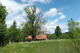 Gorski kotar, Lič - Građevinsko zemljište s ruševinom, 2600 m2, Fužine, Land