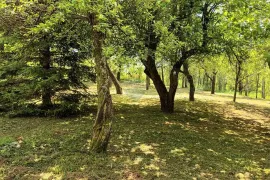 Gorski kotar, Lič - Građevinsko zemljište s ruševinom, 2600 m2, Fužine, Land