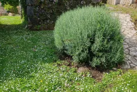 Moščenička draga, Sveti Anton, ruševine na 1652 m2, Mošćenička Draga, Kuća