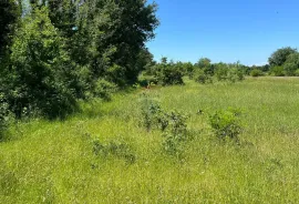 Gradina - okolica, poljoprivredno zemljište ukupne kvadrature 18 670m2, Sveti Lovreč, أرض