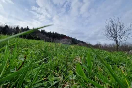 Gorski kotar/ Vrbovsko - legalizirani objekt, Vrbovsko, Γη