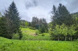 Gorski Kotar, Lokve - uređena kuća sa okućnicom, Lokve, Casa