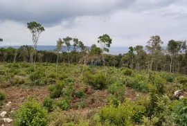 Istra - Kavran, poljoprivredna zemljišta sa pogledom na more, Marčana, Land