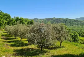 Oprtalj, okolica: Kombinacija građevinskog i poljoprivrednog zemljišta predivnog pogleda, Oprtalj, Tierra