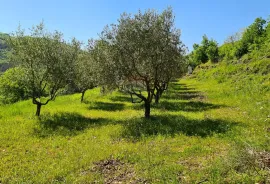 Oprtalj, okolica: Kombinacija građevinskog i poljoprivrednog zemljišta predivnog pogleda, Oprtalj, Земля