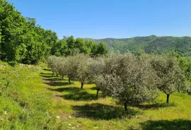 Oprtalj, okolica: Kombinacija građevinskog i poljoprivrednog zemljišta predivnog pogleda, Oprtalj, Земля