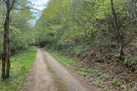 Gorski Kotar, Belo - poljoprivredni teren 1964 m2, Delnice, Zemljište