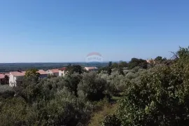 Istra, Kaštelir - Građevinsko zemljište s pogledom na more, Kaštelir-Labinci, Land