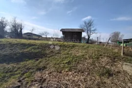 Kuća s gospodarskom zgradom u Cepilaku, Sveti Ivan Žabno, House